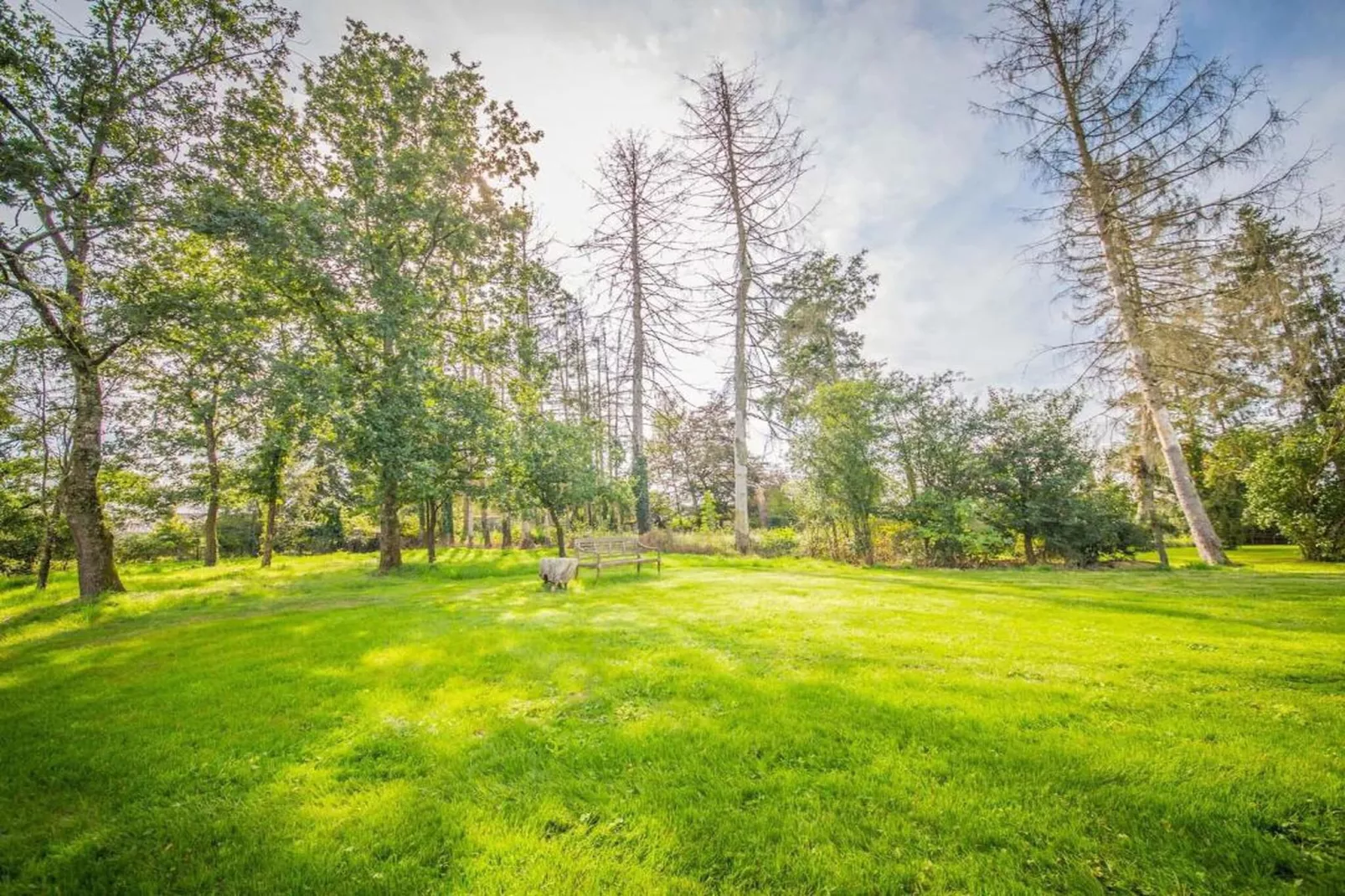 Jardins du Golf A- 4p-Gebieden zomer 20km