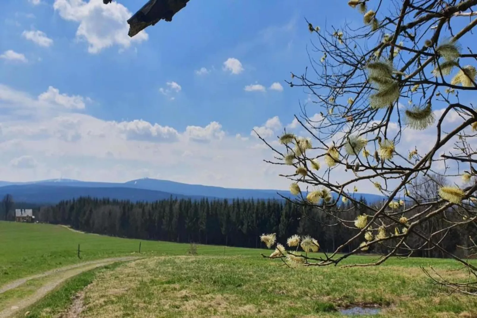 Gruppenferienhaus nähe Kurort Oberwiesenthal-Gebieden zomer 20km