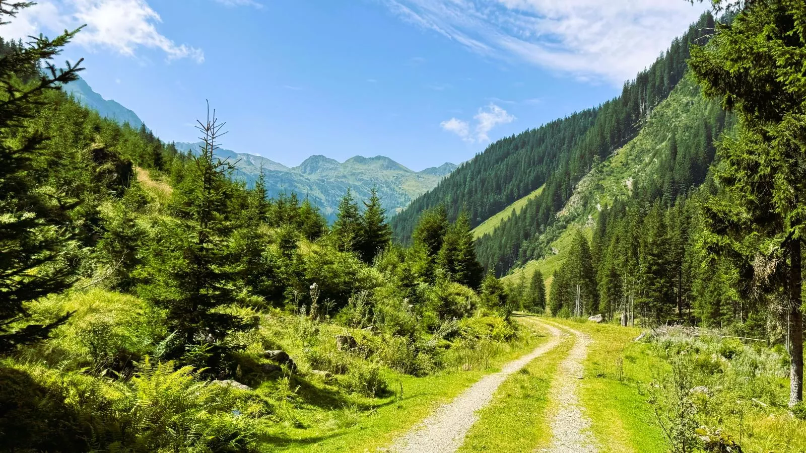 Alpenjoy Lodge-Gebieden zomer 5km
