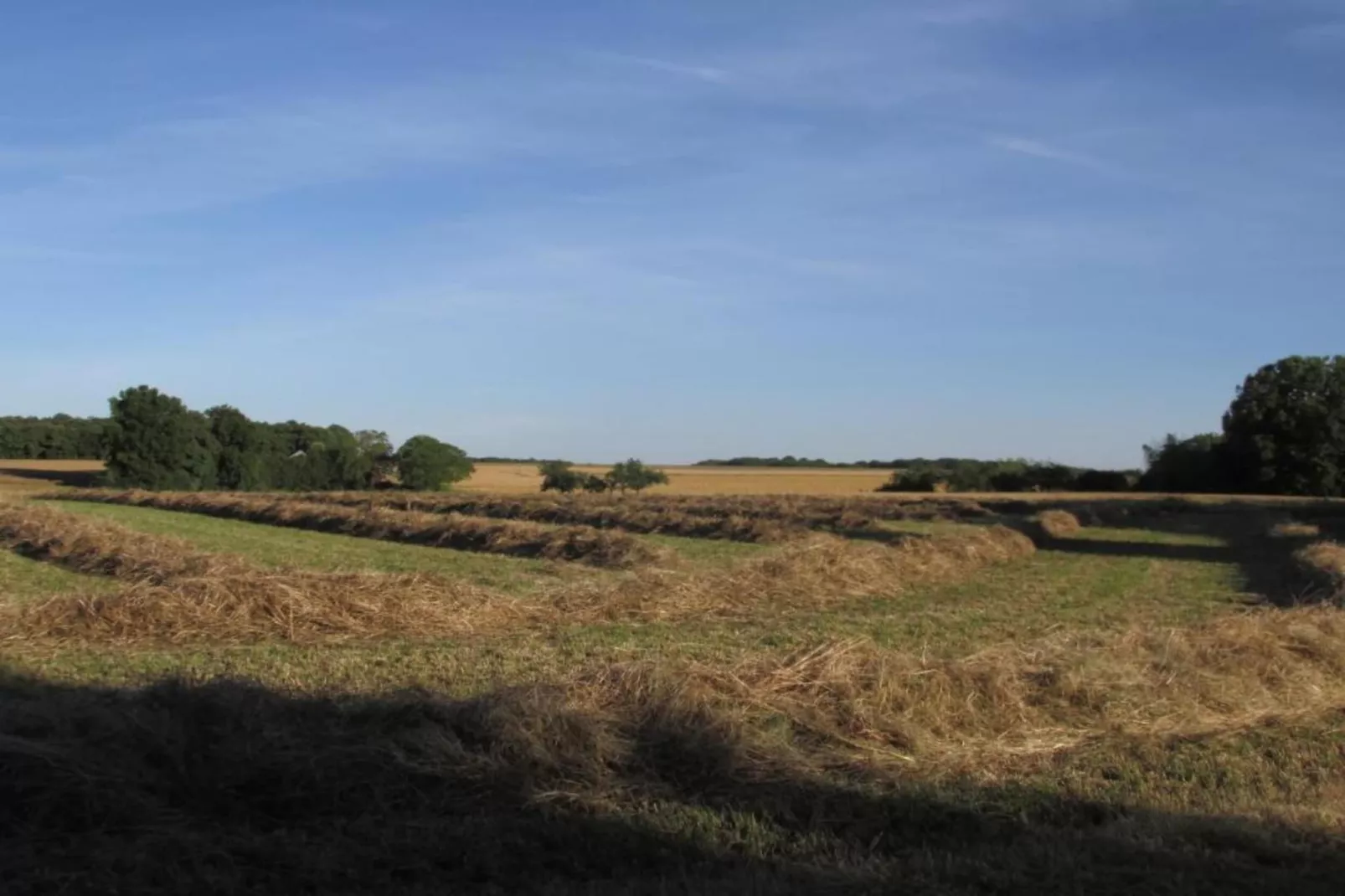 La Campagne-Gebieden zomer 5km