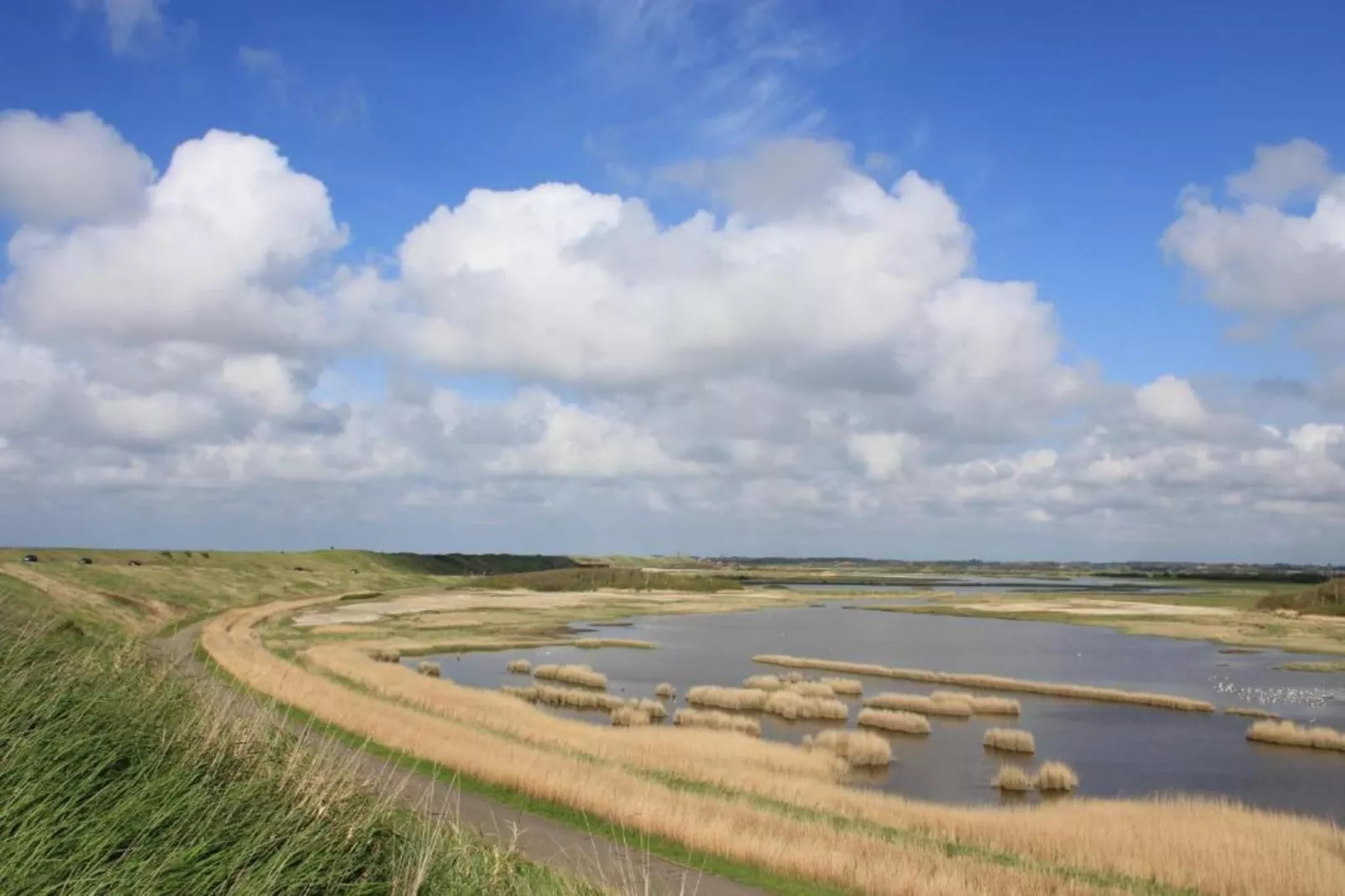 Studio - Zuidstraat 113-Gebieden zomer 5km