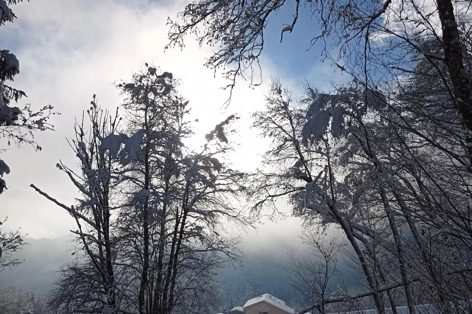 Roßweid Hütte-Sfeer