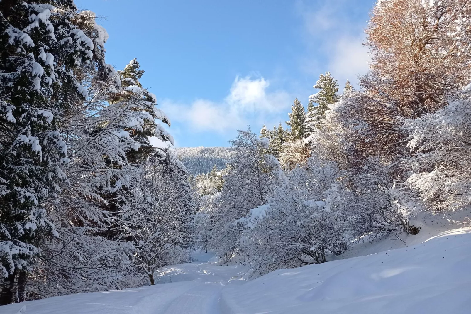 Roßweid Hütte-Sfeer