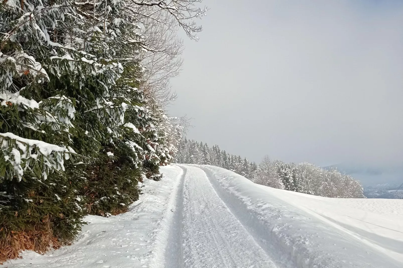 Roßweid Hütte-Gebied winter 5km