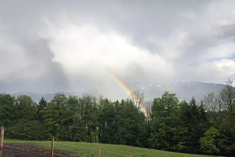 Roßweid Hütte-Sfeer