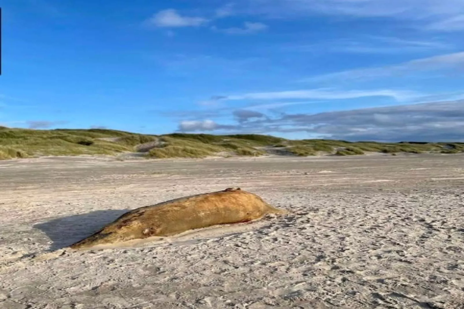 10 persoons vakantie huis in Saltum-By Traum