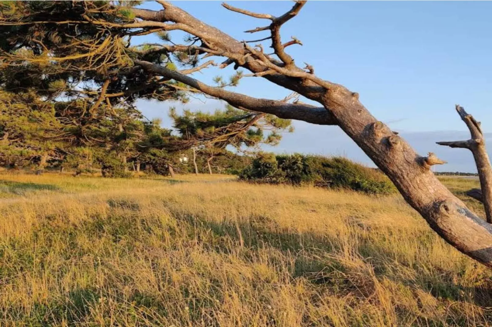 4 persoons vakantie huis in Slagelse-By Traum-Niet-getagd