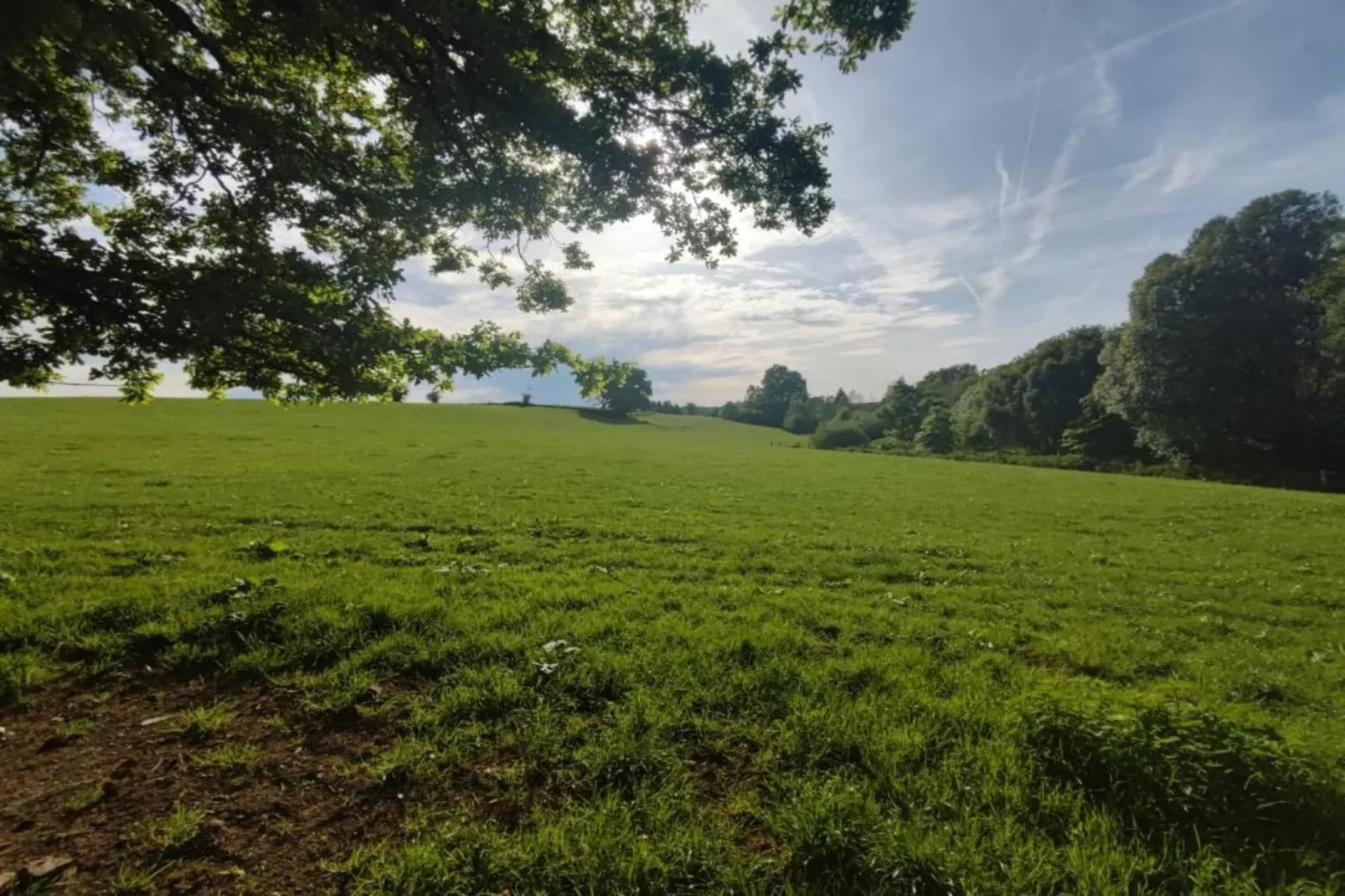 Het Wilgenhuis-Gebieden zomer 20km