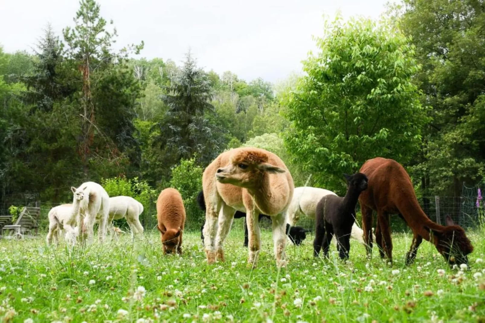 Ferienhaus Ahnert bei Chemnitz-Sfeer