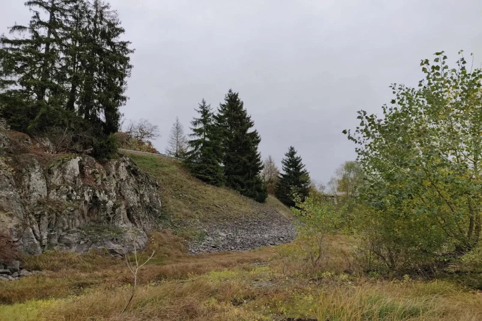 Ferienhaus in Hasselfelde - Haus 318 Auerhahn-Gebieden zomer 5km