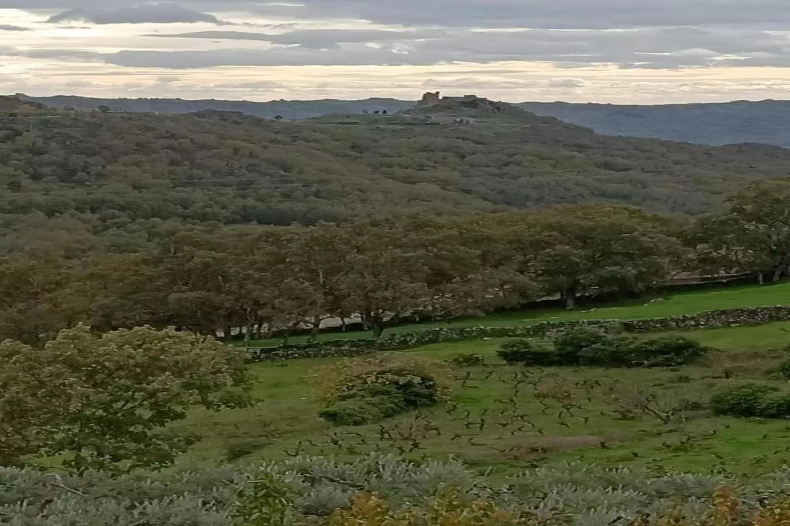 Casa de Pueblo "Rodrigo" Sierra de Gata Cáceres-Gebieden zomer 20km