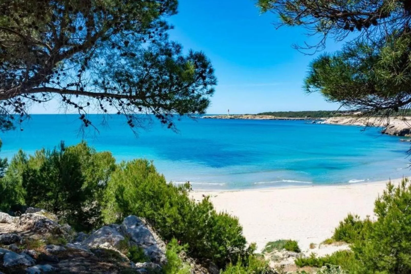 APPARTEMENT VUE SUR LE PORT-Gebieden zomer 20km