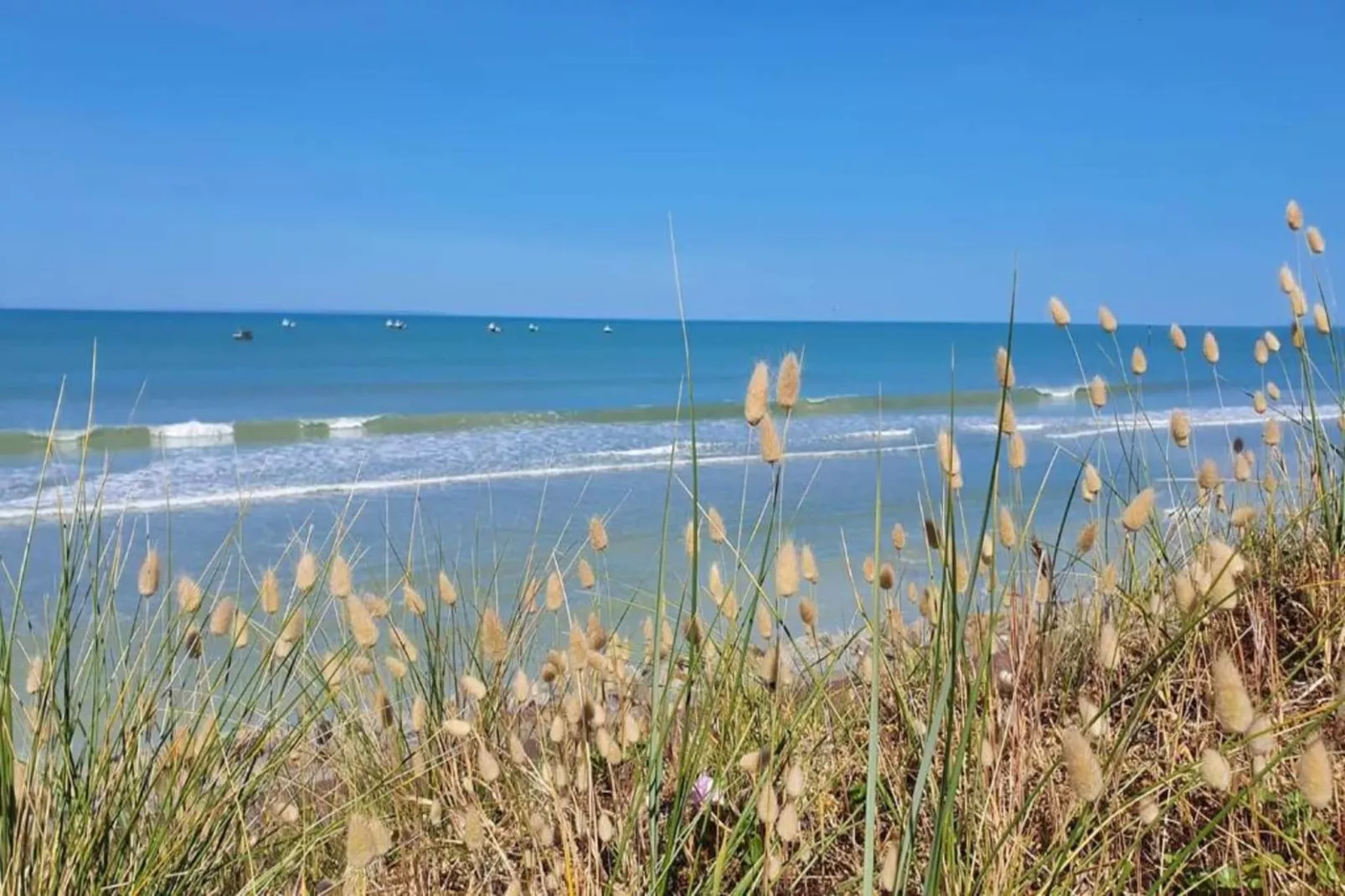 Maison près de la Plage Normande-Gebieden zomer 5km