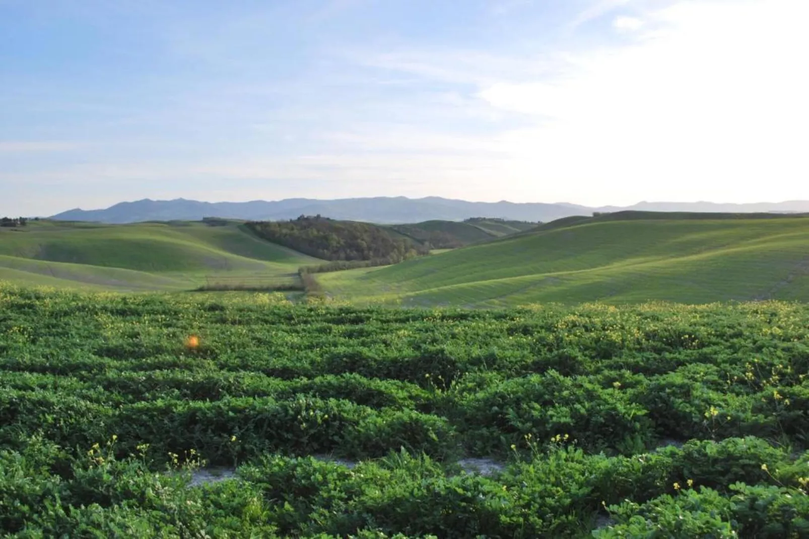 Villa Celli Otto-Gebieden zomer 5km