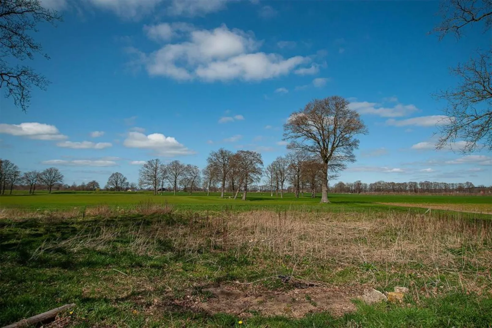 Vakantiewoning de Zwaluw-Gebieden zomer 20km