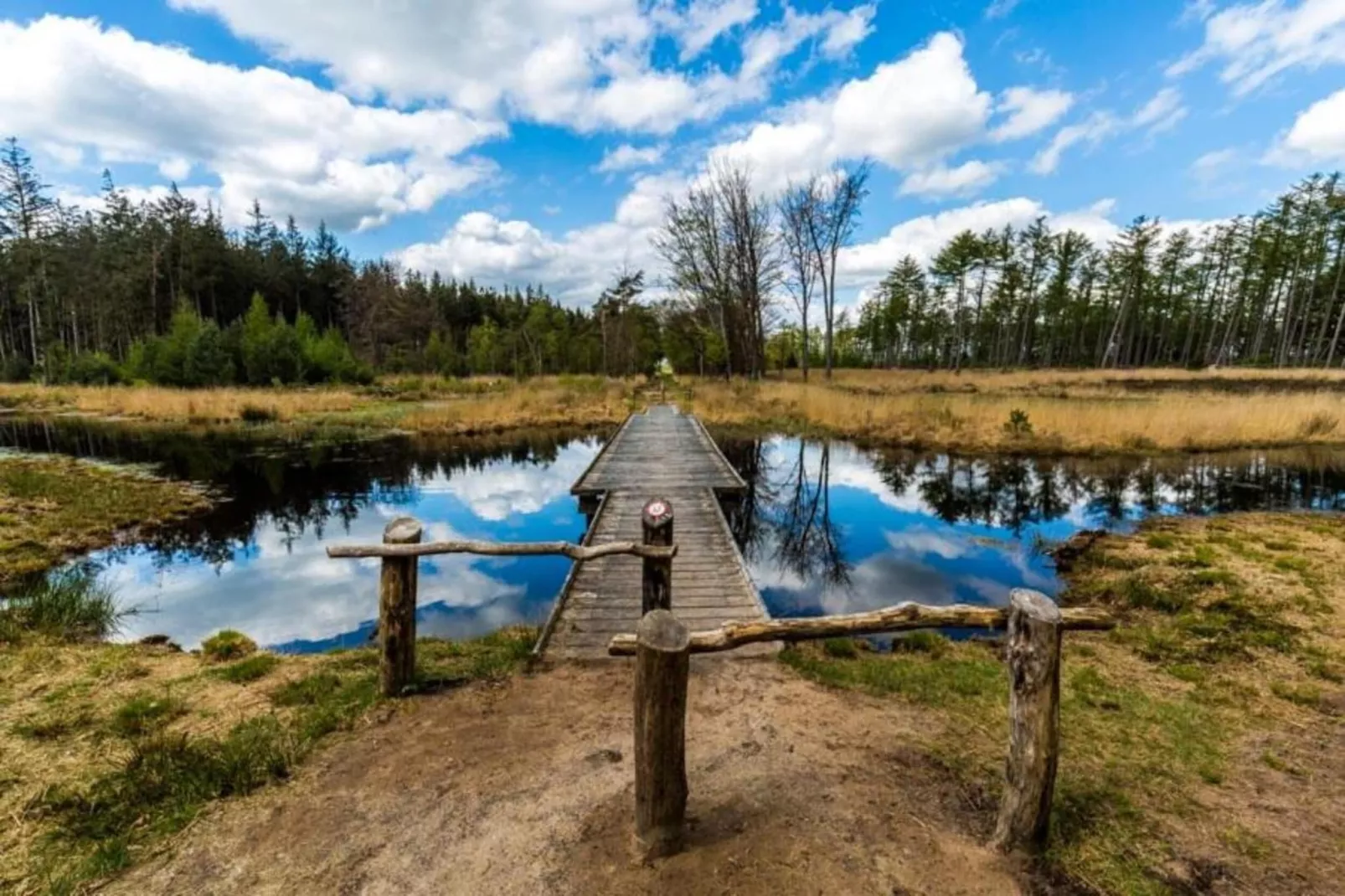 De Kerkereed-Gebieden zomer 20km