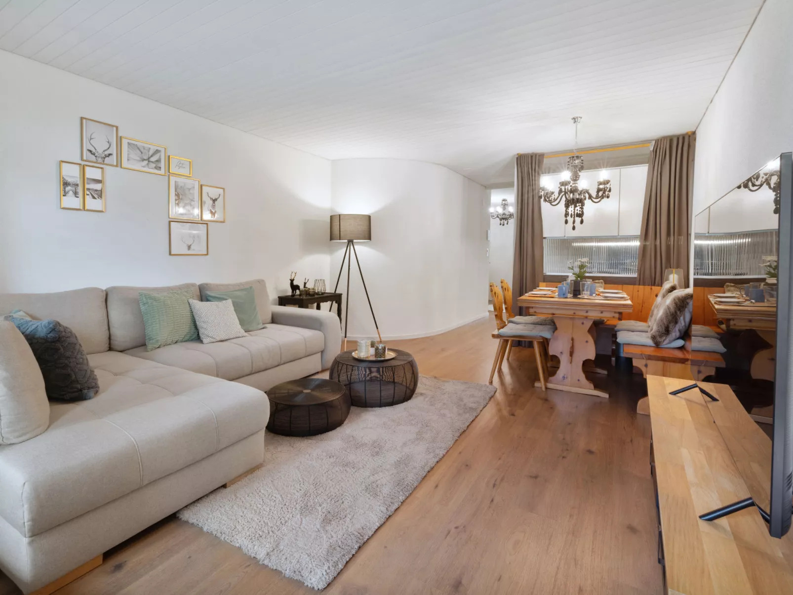 Verbena Apt 4