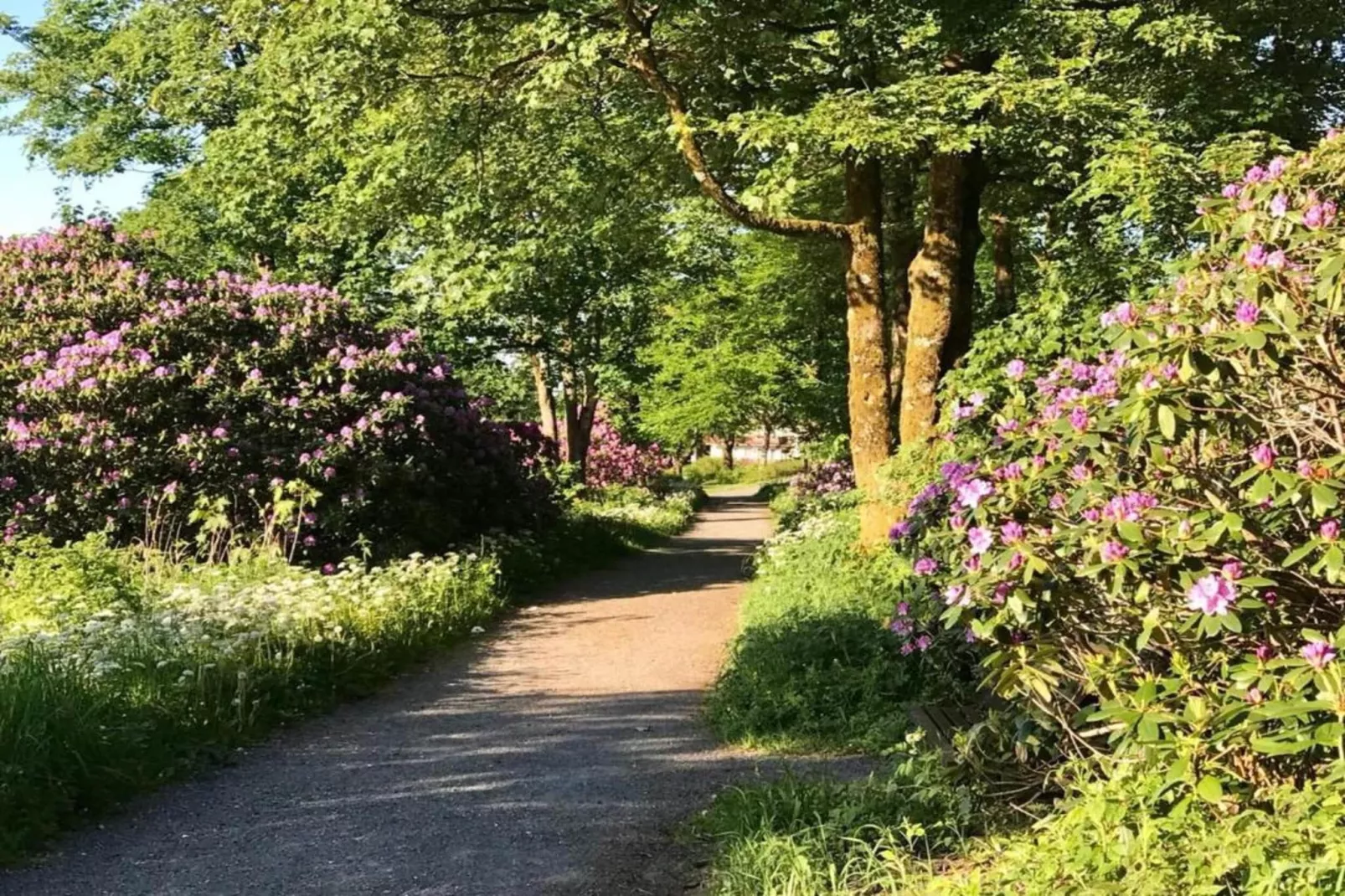 Ferienwohnung Bockwiese-Hahnenklee-Gebieden zomer 20km