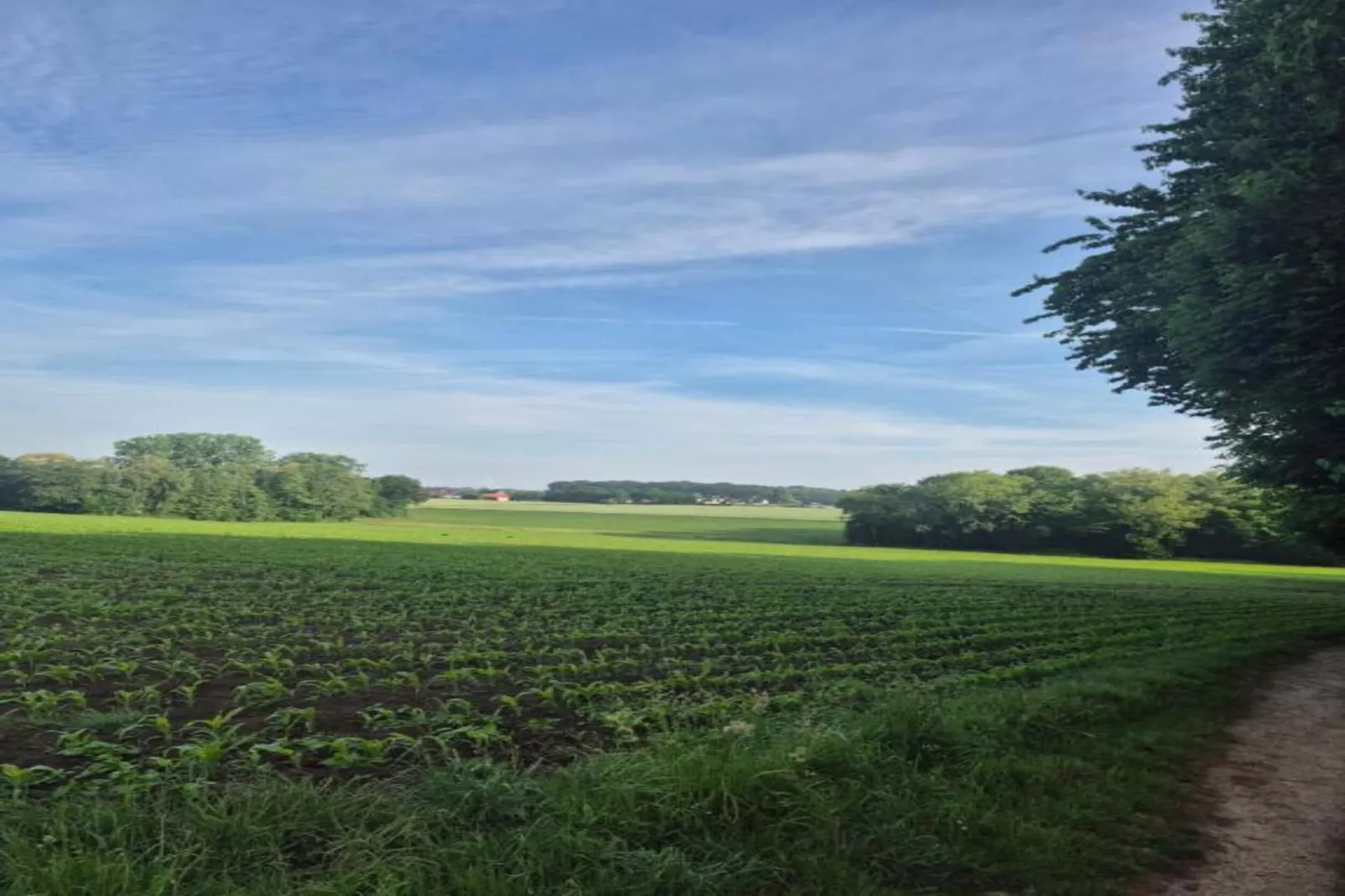 Ferienresort Bad Bentheim 36-Gebieden zomer 20km