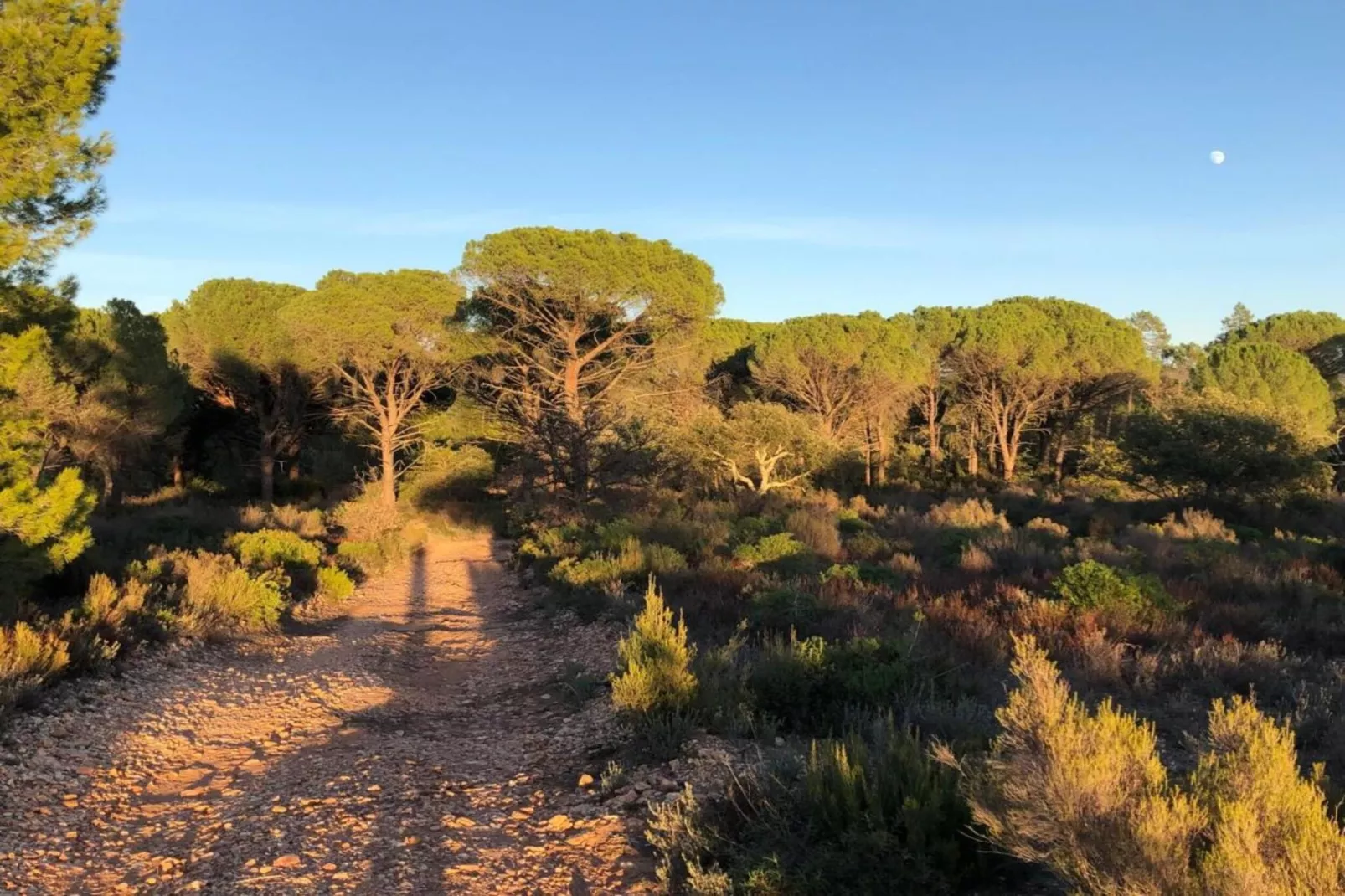 Elja Les Acacias-Gebieden zomer 20km