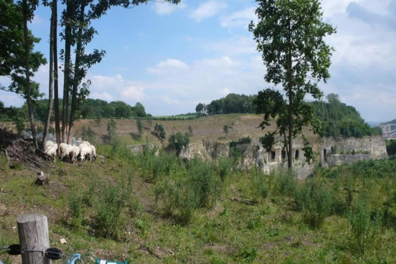 Resort Maastricht 40-Gebieden zomer 20km