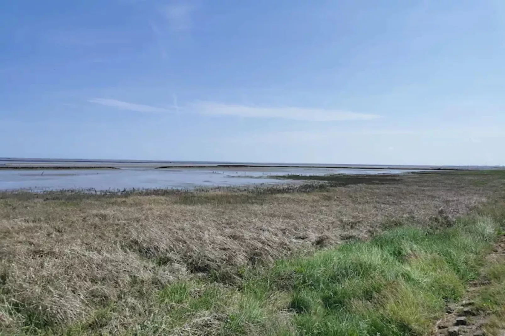 Bungalow Nordseebrise-Gebieden zomer 1km