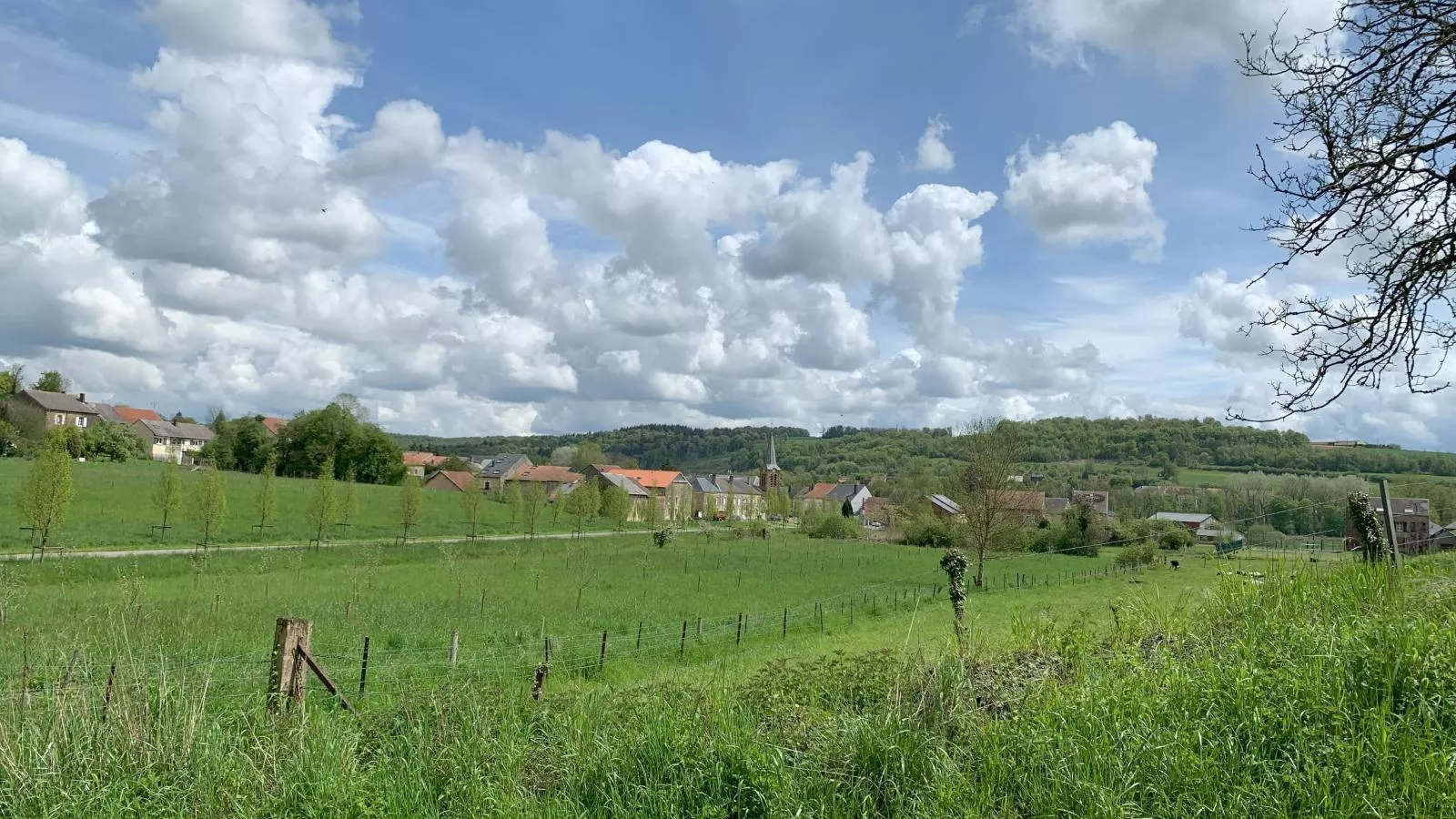 Gite du Moulin-Uitzicht zomer