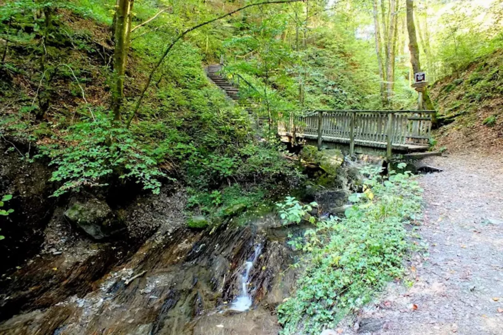 Kleine Auszeit Winterberg-Gebieden zomer 1km