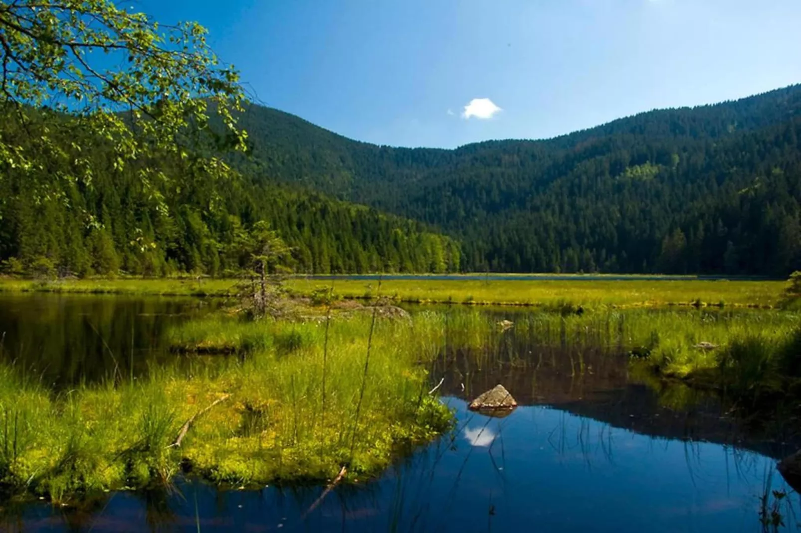 Schönes Holzhaus Arberblick-Gebieden zomer 20km