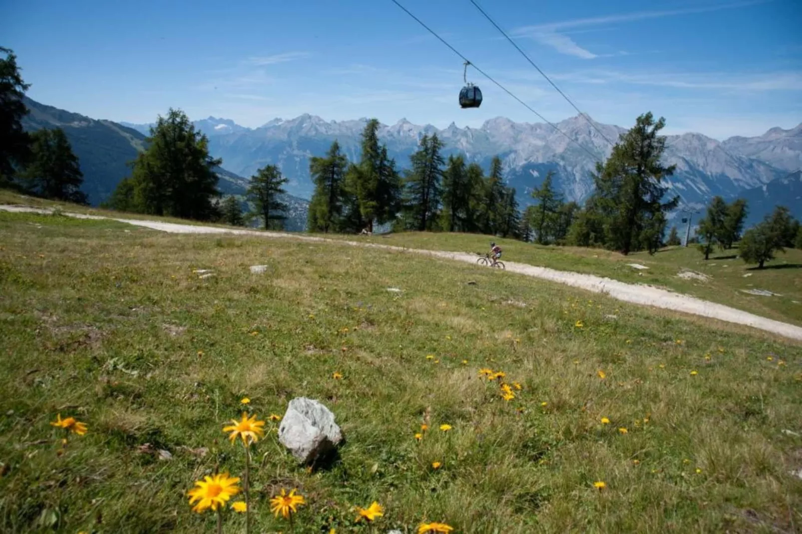 Ramuge A 031 - COSY apartment 6 pers - Gebieden zomer 1km