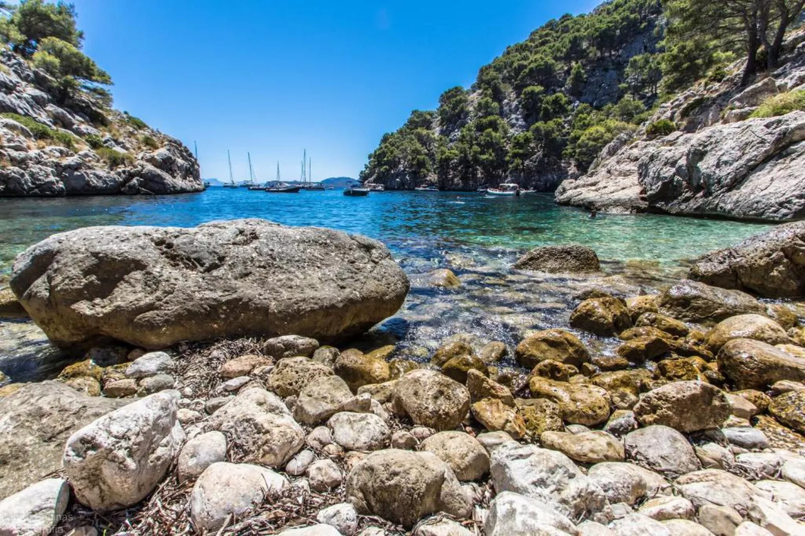 VILLA LES OLIVERES PETITES DE UN DORMITORIO-Gebieden zomer 20km