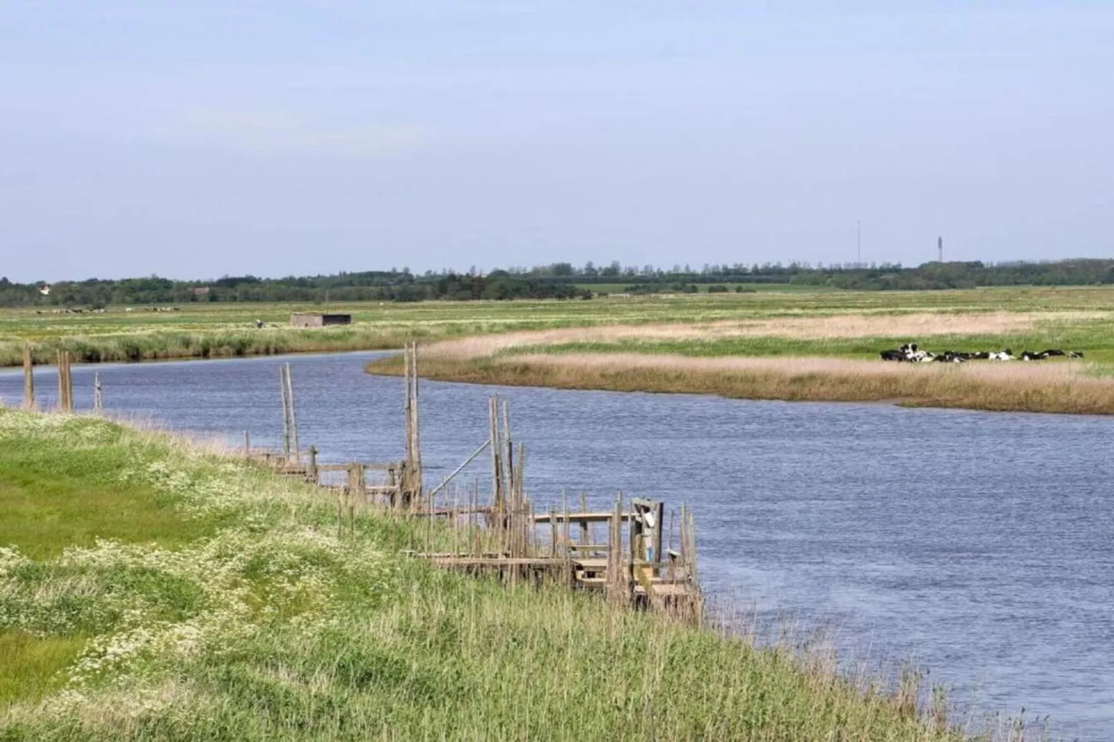 6 Personen vakantie huis in Ringkøbing