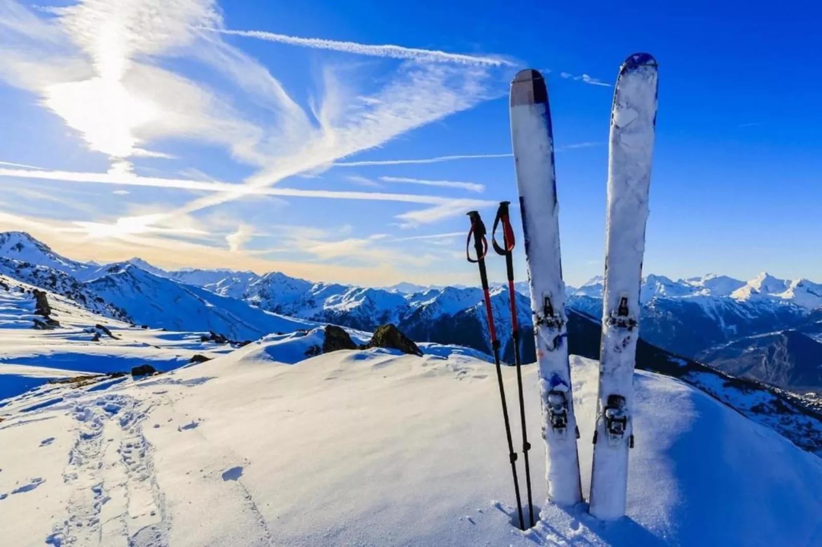 Myosotis B N°31 - ST4-Gebied winter 20km