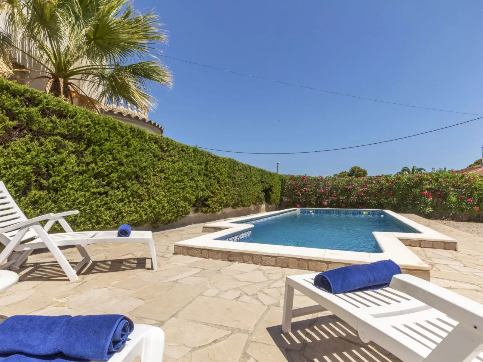 Palmera I
