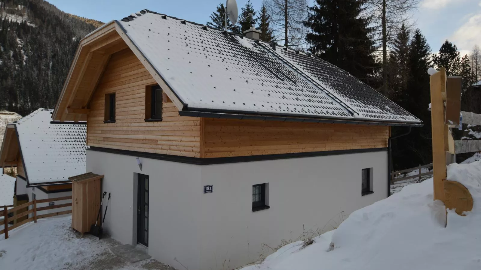 Ahorn-Exterieur winter