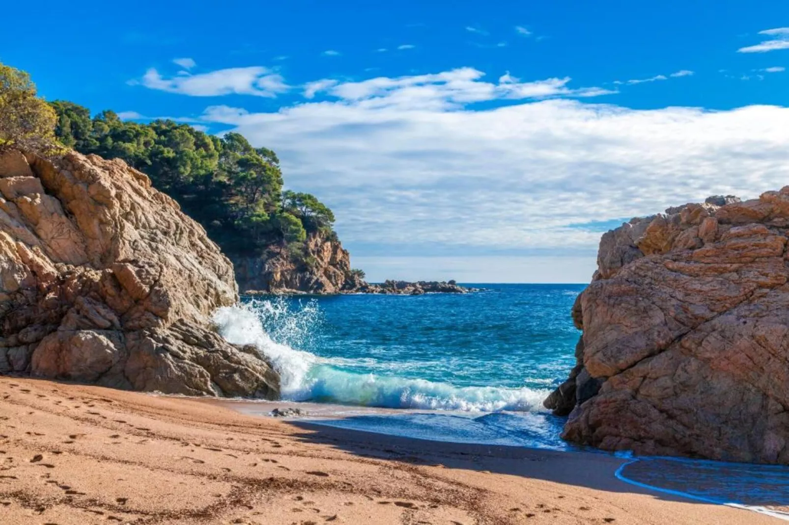 Medas 12-Gebieden zomer 5km