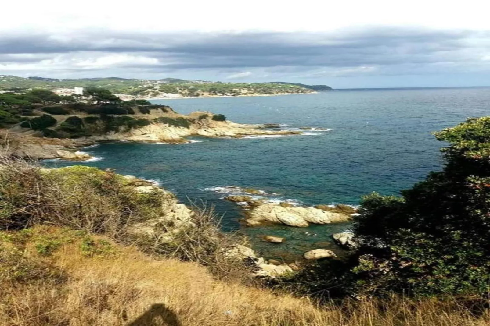 Agnes-Gebieden zomer 20km