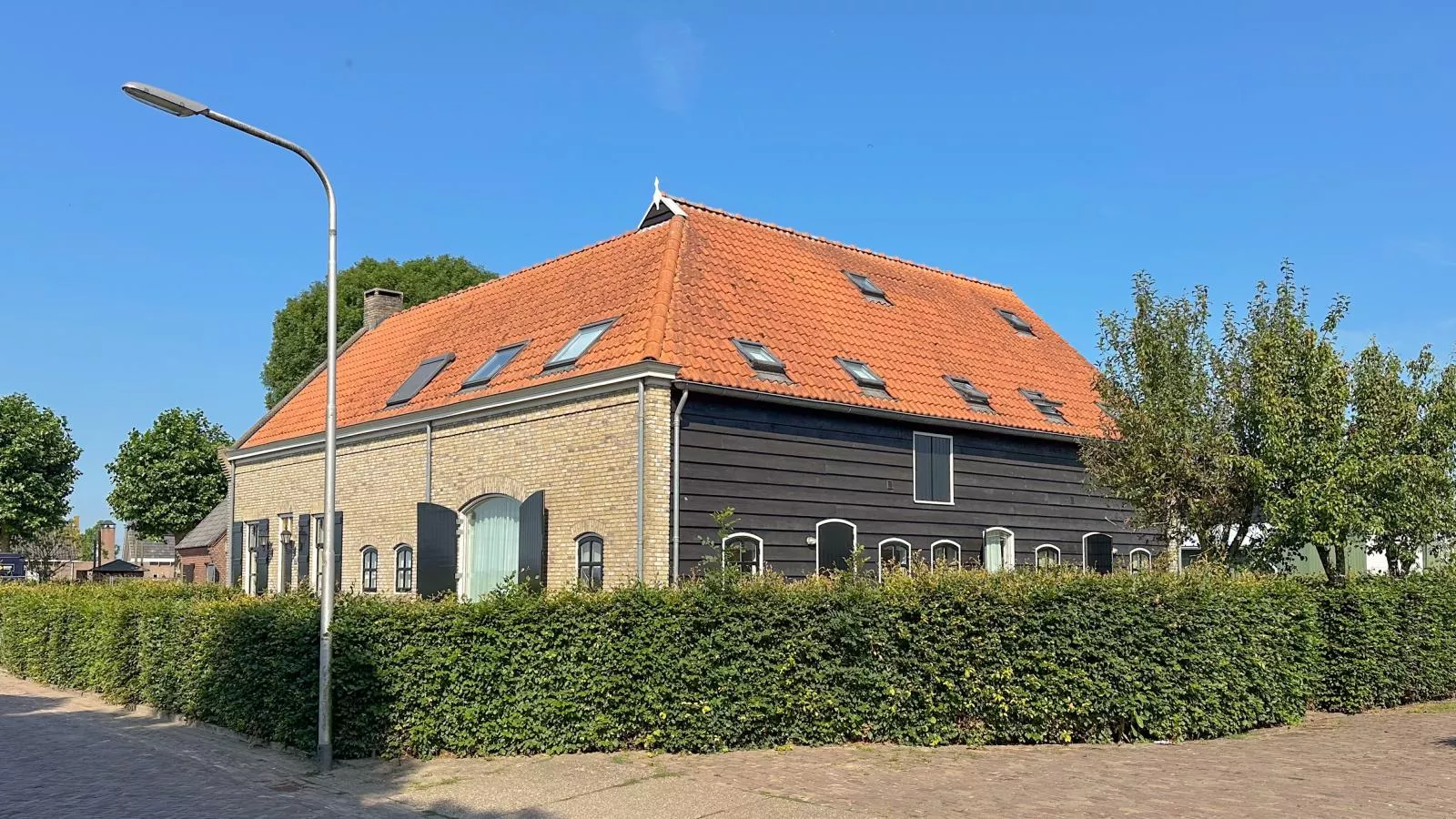 Dorsvloer