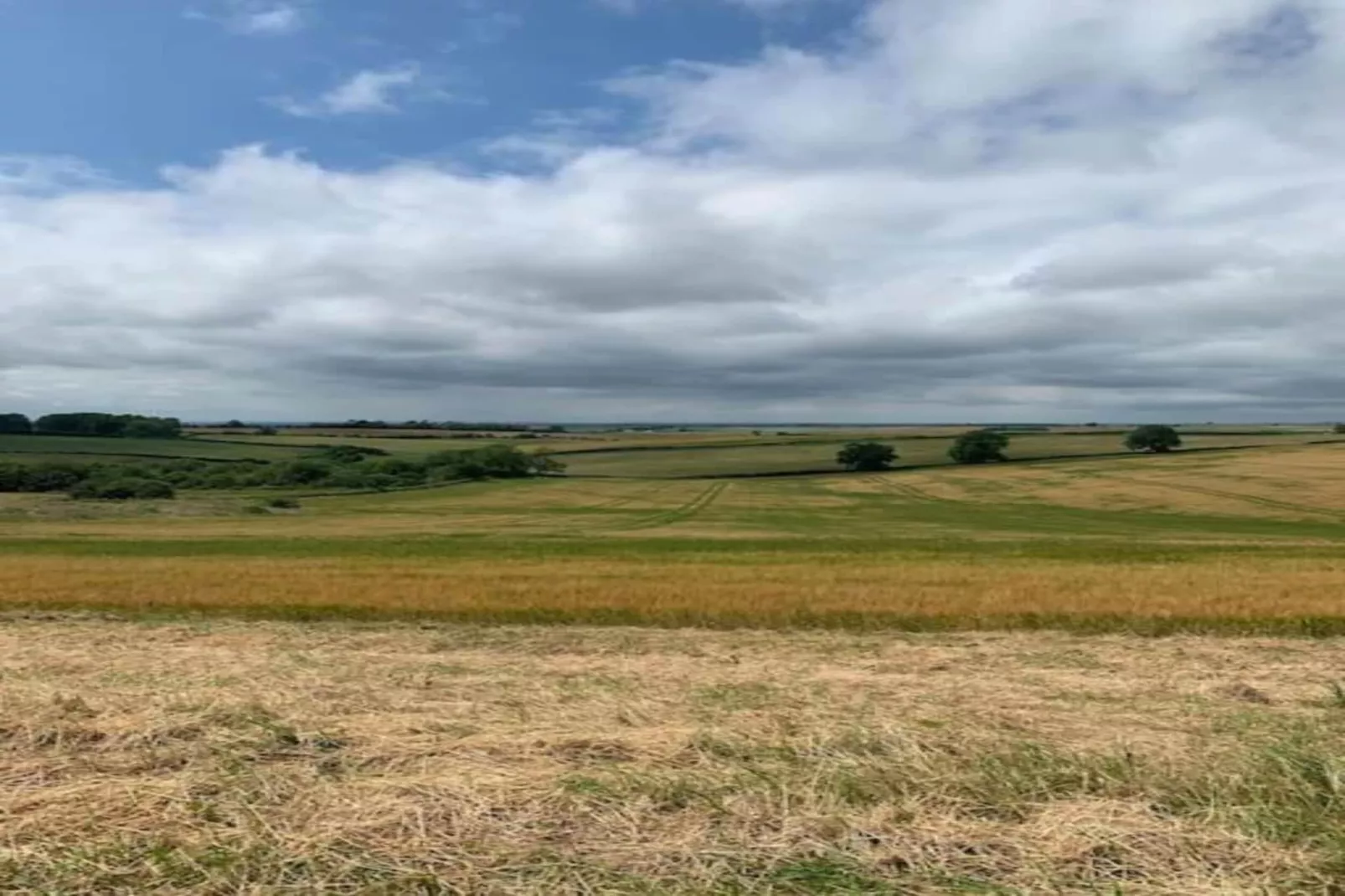 Longwool View-Gebieden zomer 20km