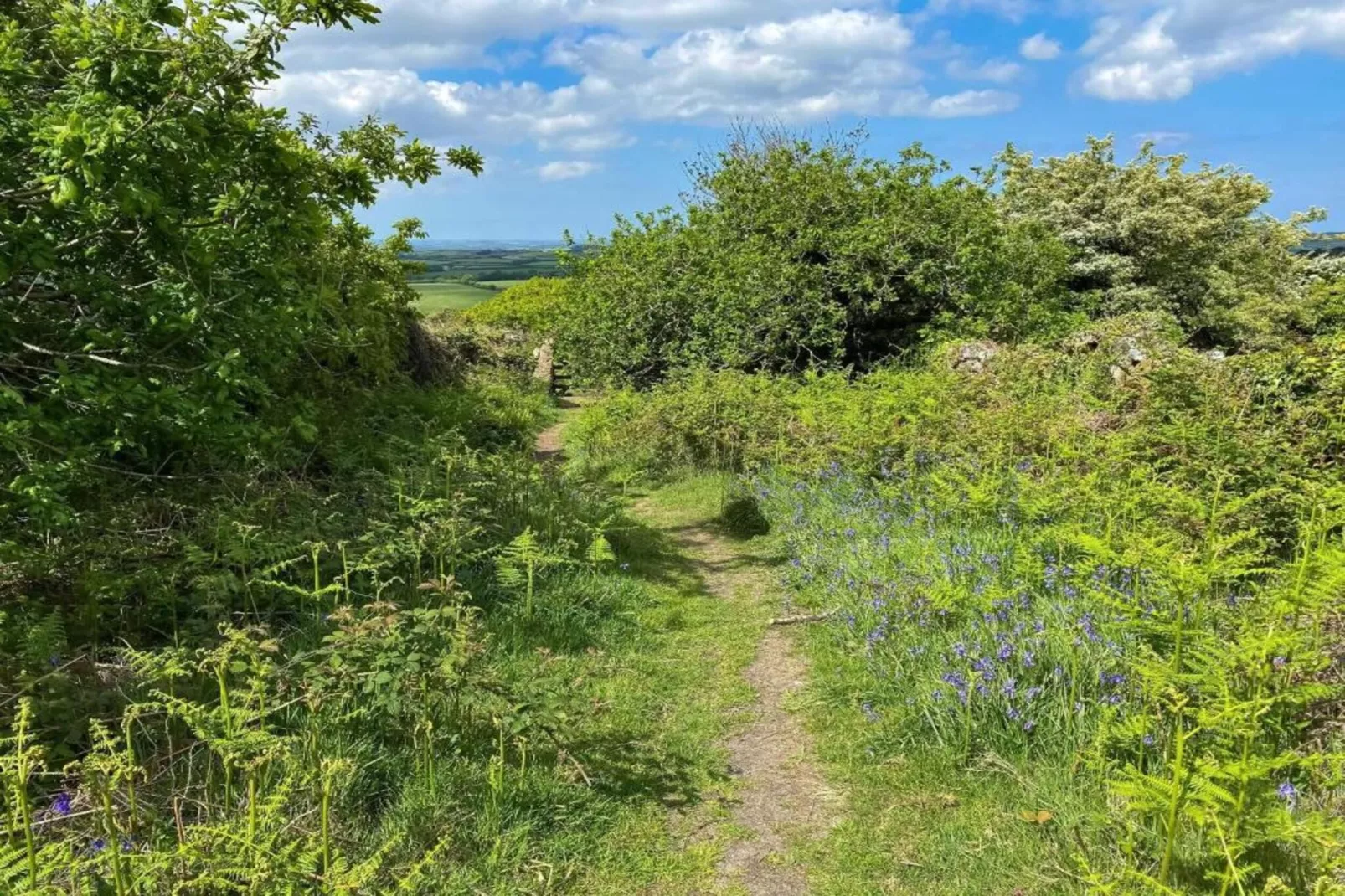 Jubilee Barn Cottage at Bodmin Moor-Gebieden zomer 5km