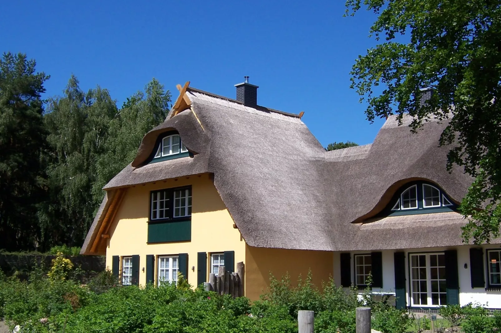 Ferienhaus Küstenwald klein - Strandhotel Fischland