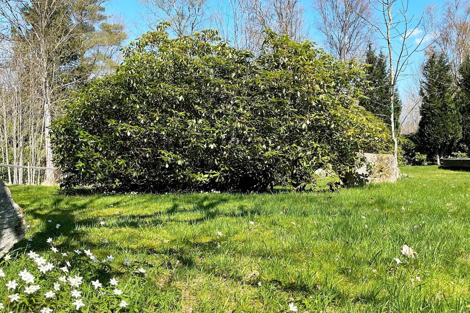 6 persoons vakantie huis in ÖRKELLJUNGA-By Traum-Buitenlucht