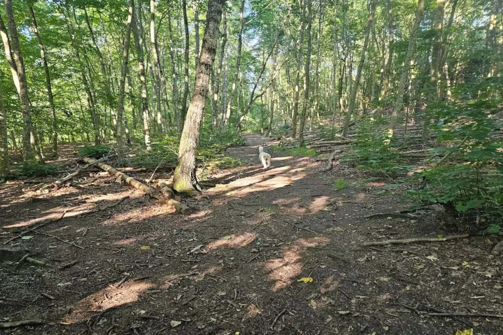 Rustige oevertoevlucht in Ry-By Traum-Niet-getagd