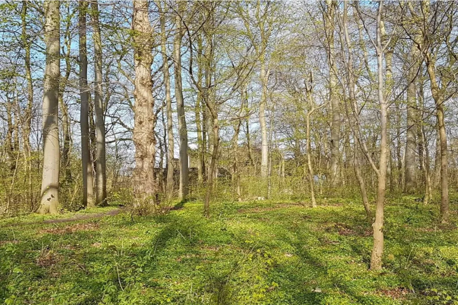 Kustsereniteit in Jaegerspris-By Traum-Niet-getagd
