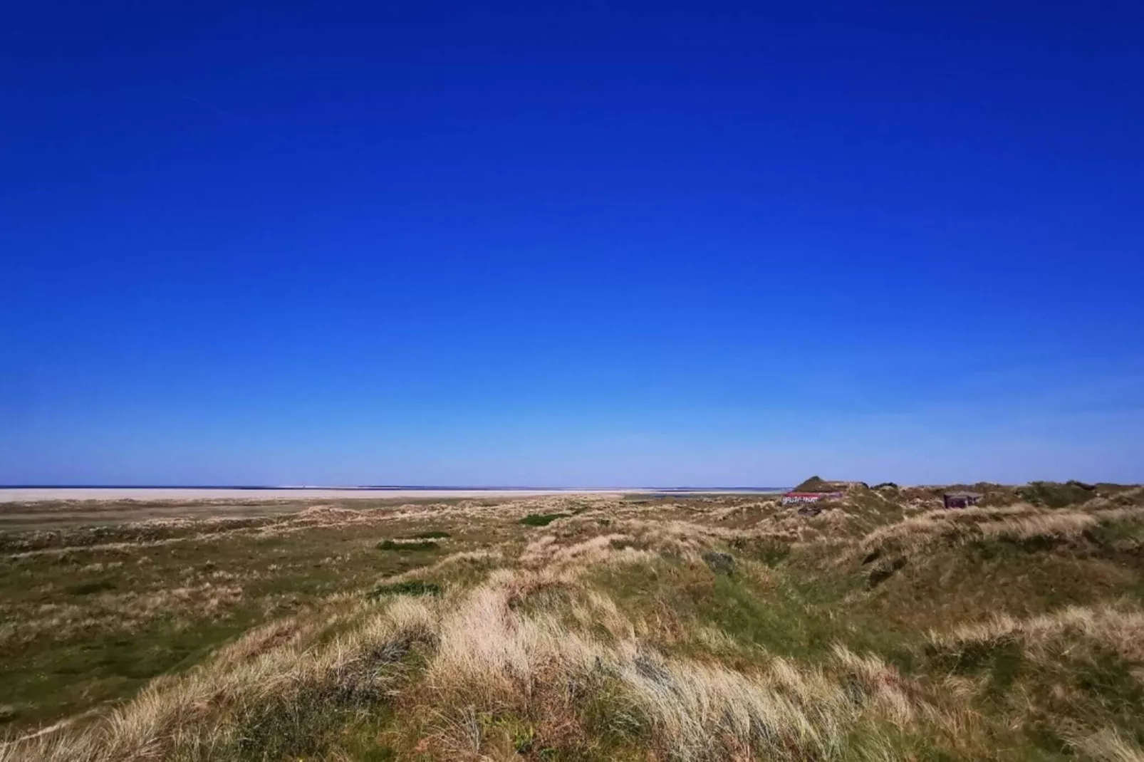 6 persoons vakantie huis in Fanø-By Traum-Niet-getagd