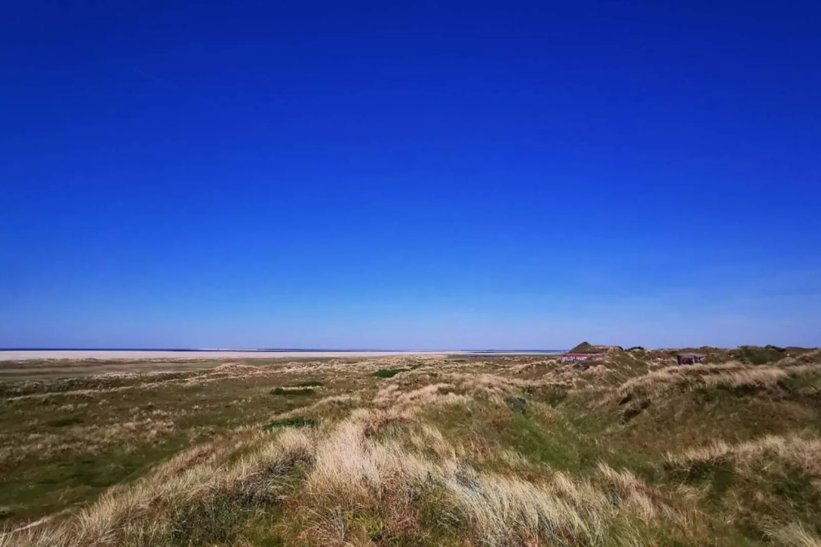 6 persoons vakantie huis in Fanø-By Traum-Niet-getagd
