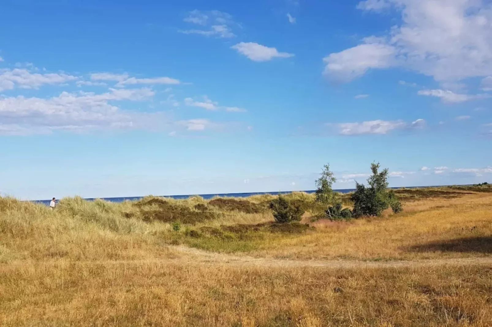 4 persoons vakantie huis in Væggerløse-By Traum