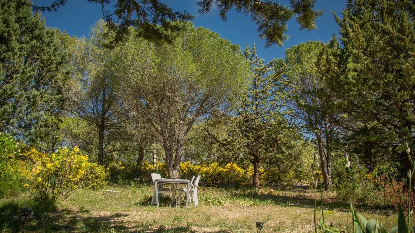 Villa Cantirane-Tuinen zomer