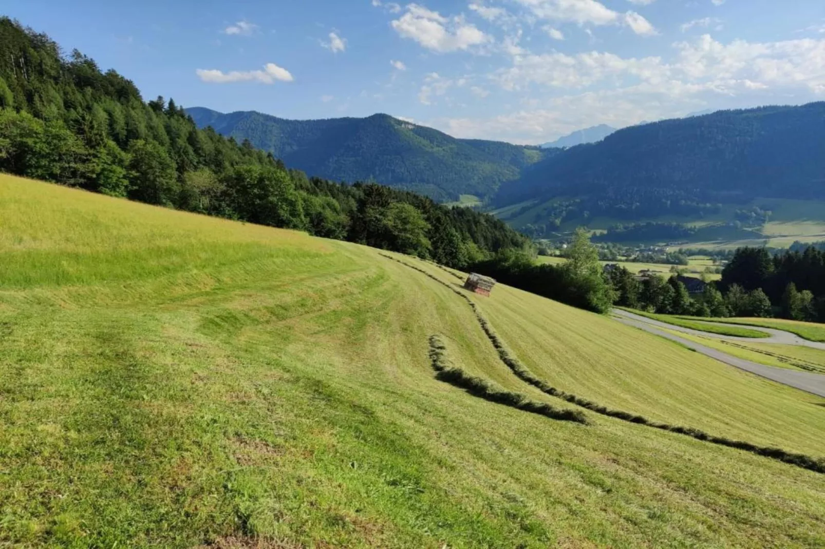 Ferienhaus Rieger-Gebieden zomer 20km