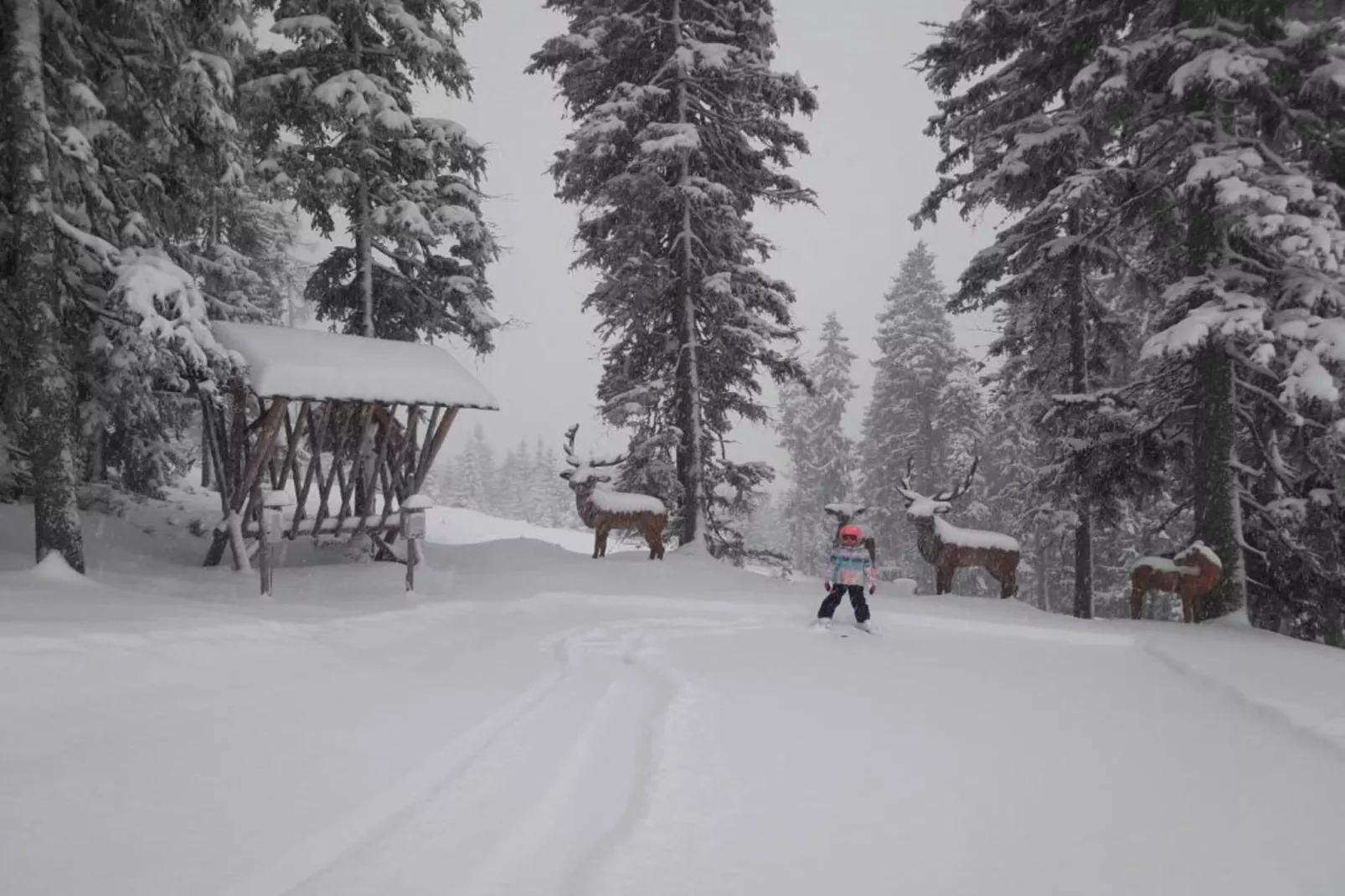 Heidi-Gebied winter 20km